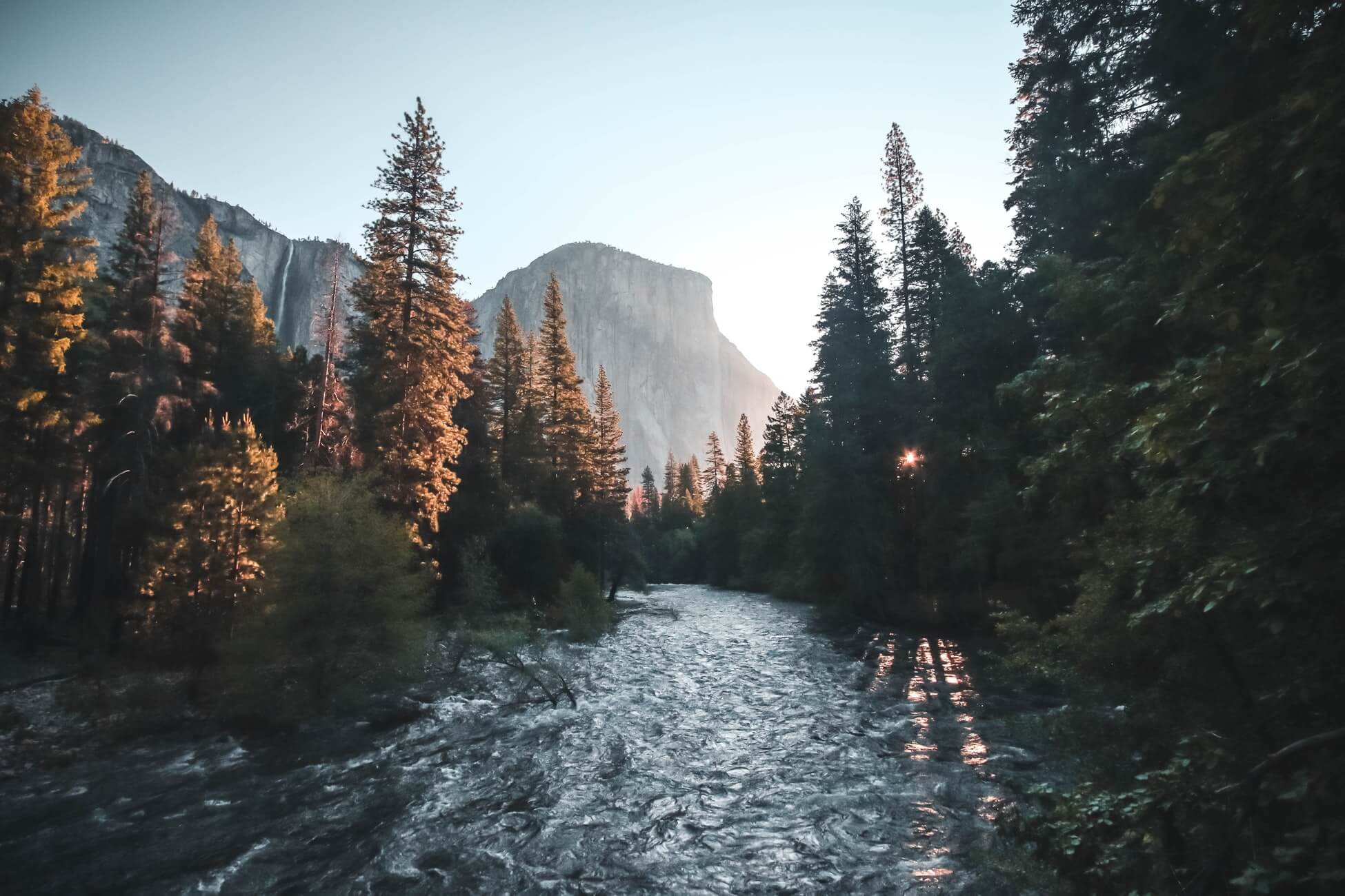 pinos en el Valle de Yosemite